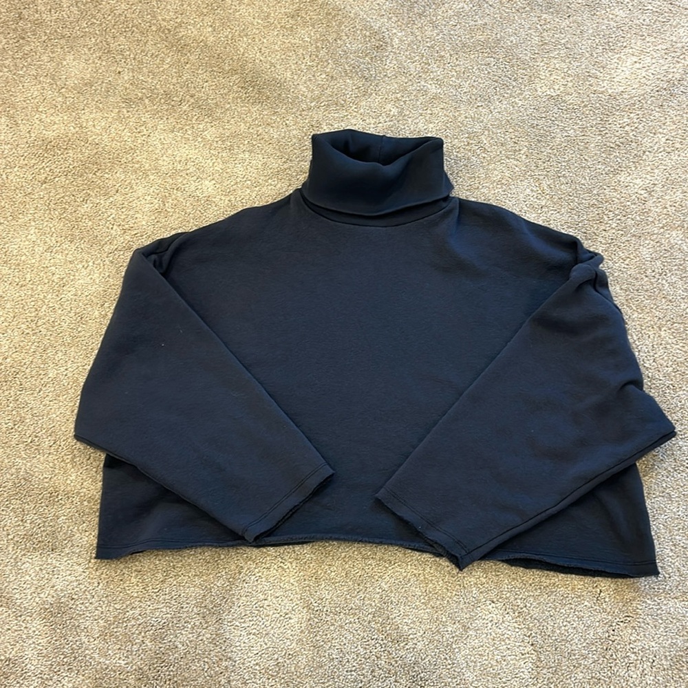 American eagle cropped shirt